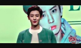 爆料娱乐圈的小说有哪些,揭秘明星背后的秘密与真相